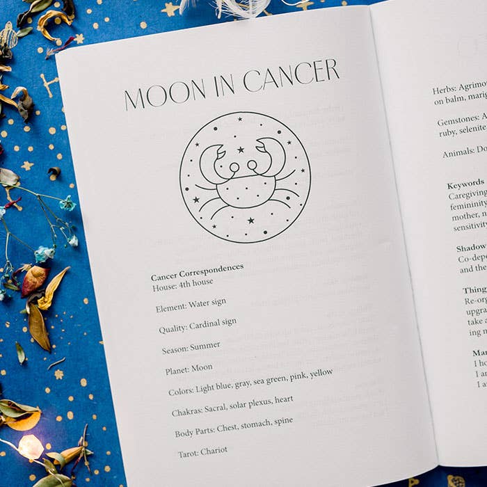 Lunar Intentions Book