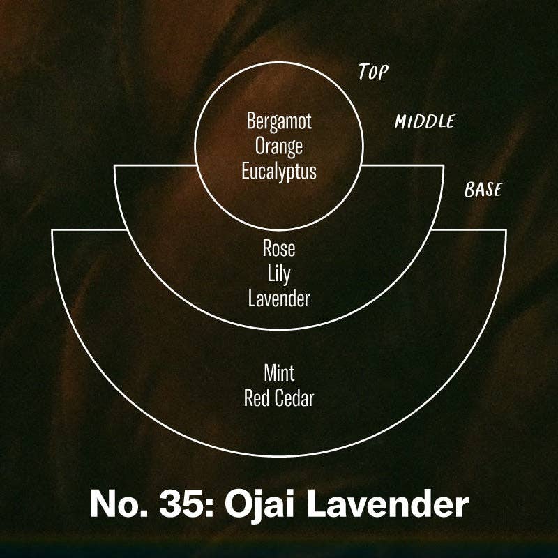 Ojai Lavender - Large Concentrated Candle