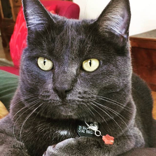 Cherry Quartz Star Pendant