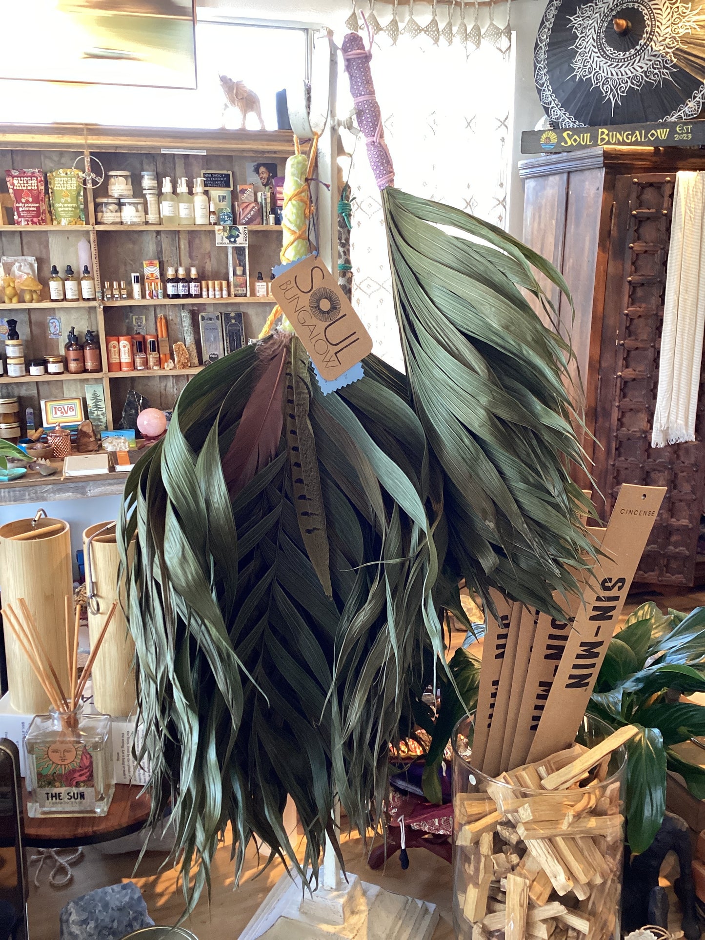 Commodore Palm Chakapa