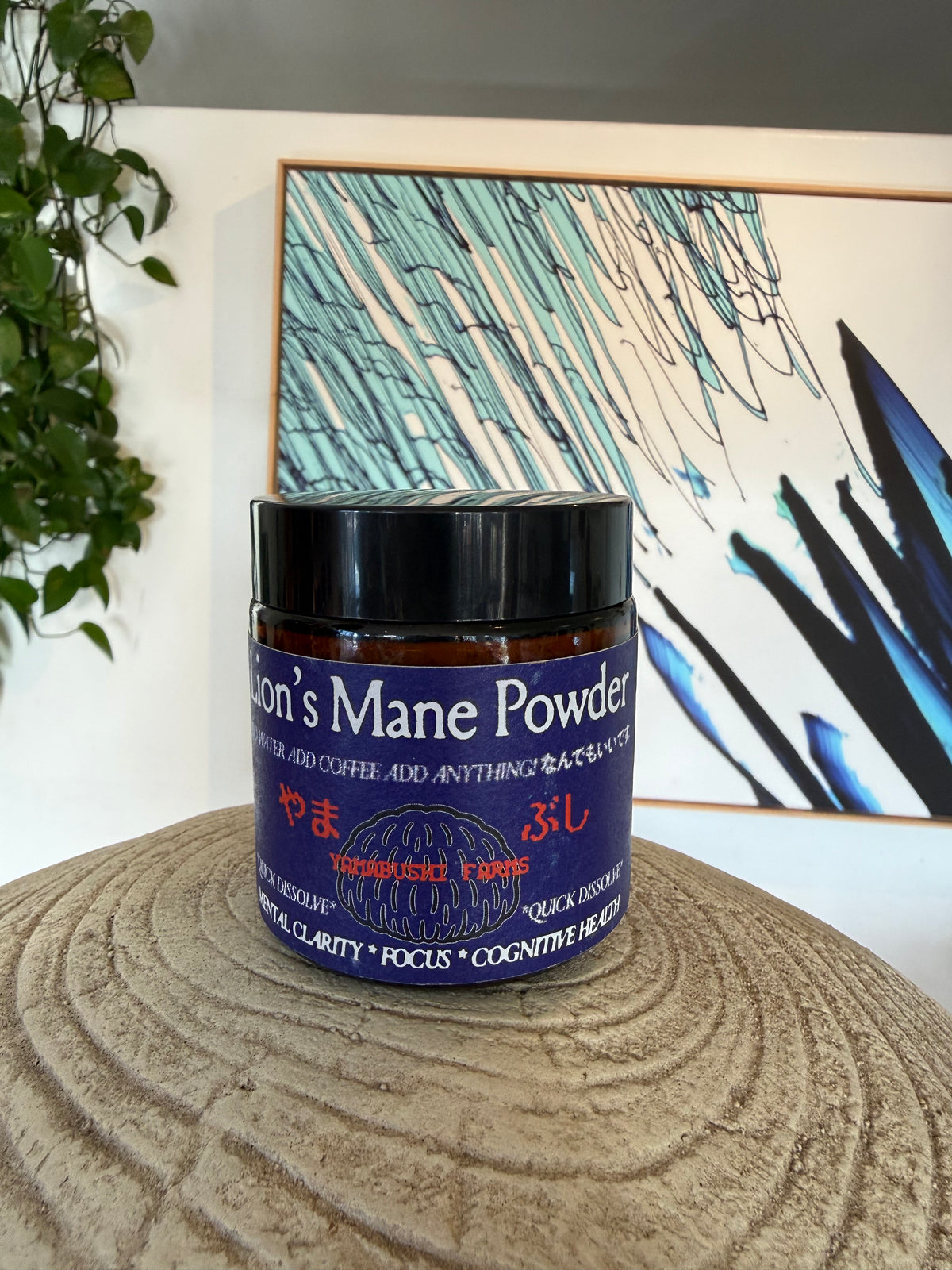 Lion’s Mane Powder – Ultra-Fine, Full-Spectrum Cognitive Support 50 g