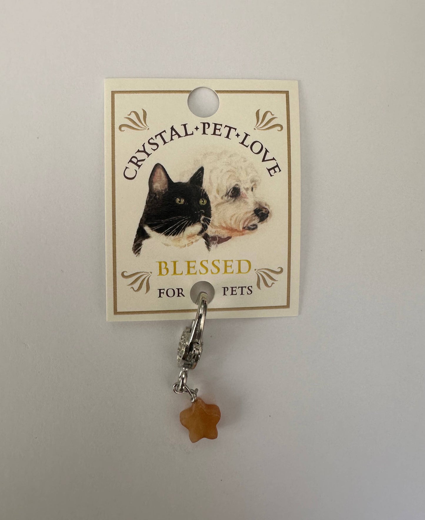 Citrine Blessings Pendant