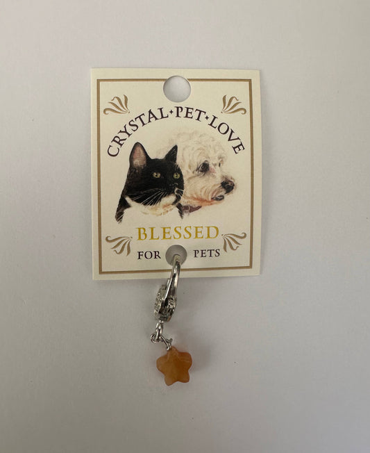 Citrine Blessings Pendant