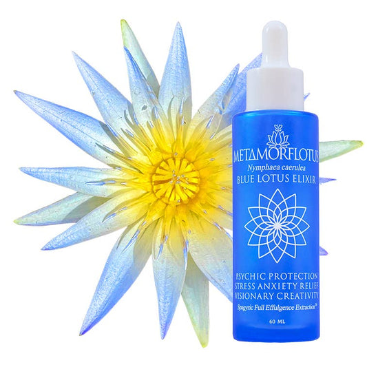 Blue Lotus Spagyric Elixir