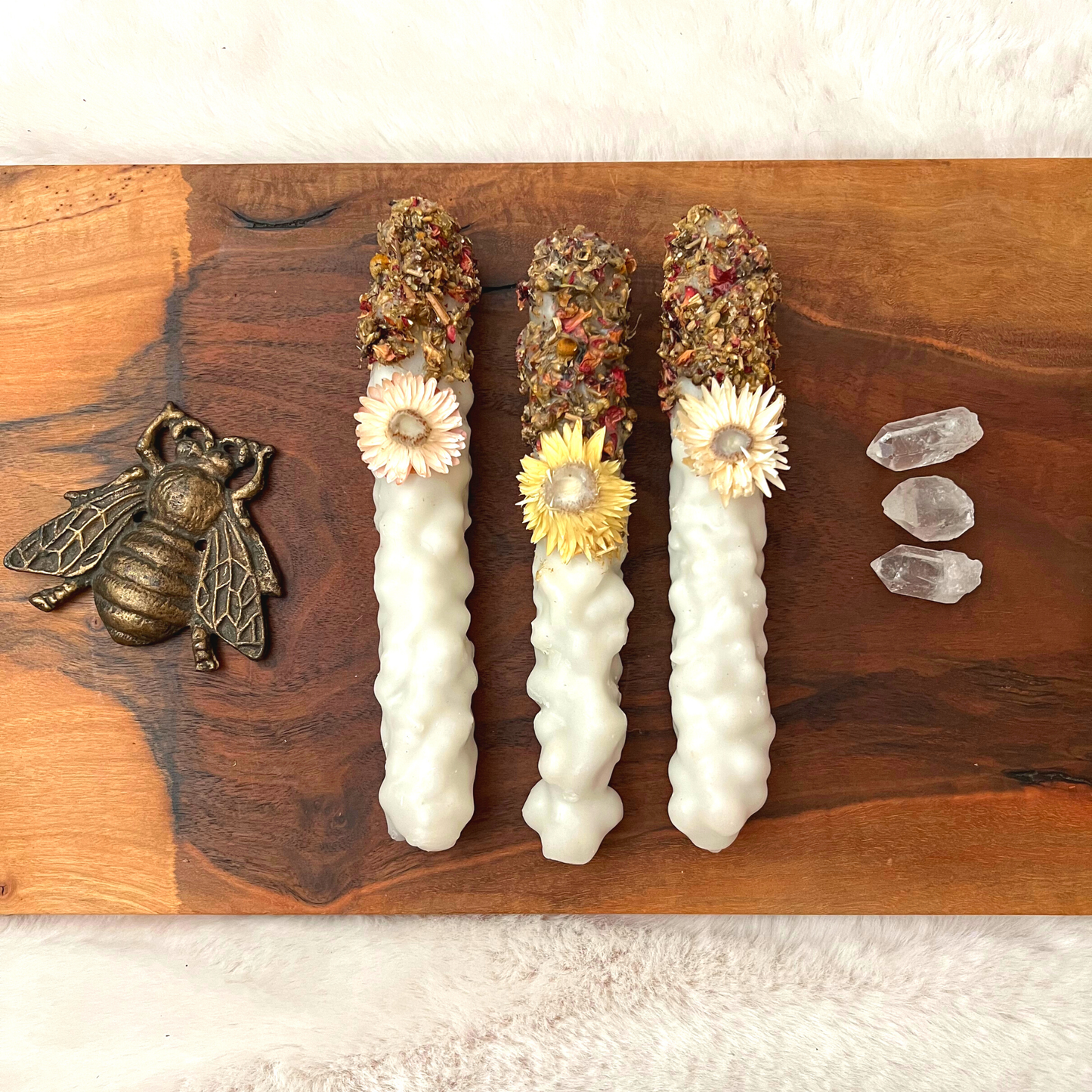 *Holy Mullein Hag Torch