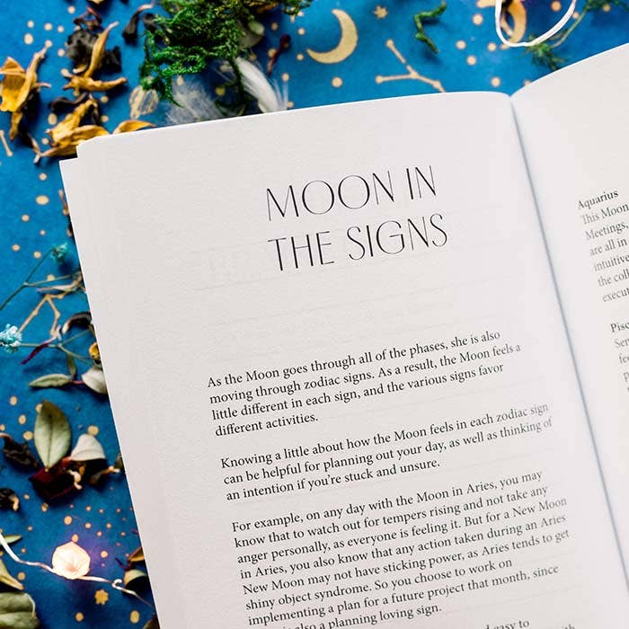 Lunar Intentions Book